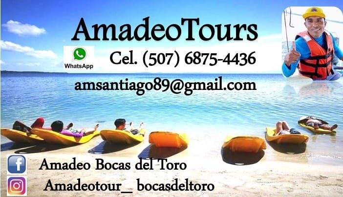 Amadeo Tours